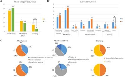 Correlates of Silence: Enhanced Microstructural Changes in the Uncinate Fasciculus